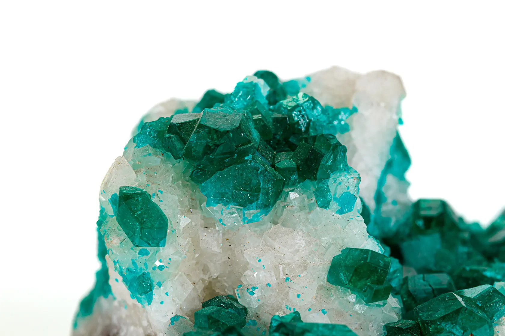 Emerald Crystals. Grizzly Fetches Up Over  Million at Its Most Recent Auction. News