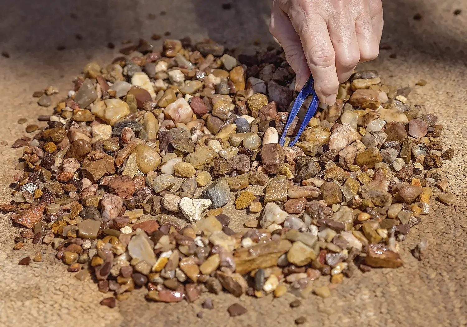 Different colors of raw sapphires. What Makes Sapphires in Rock Creek, Montana, Unique? News