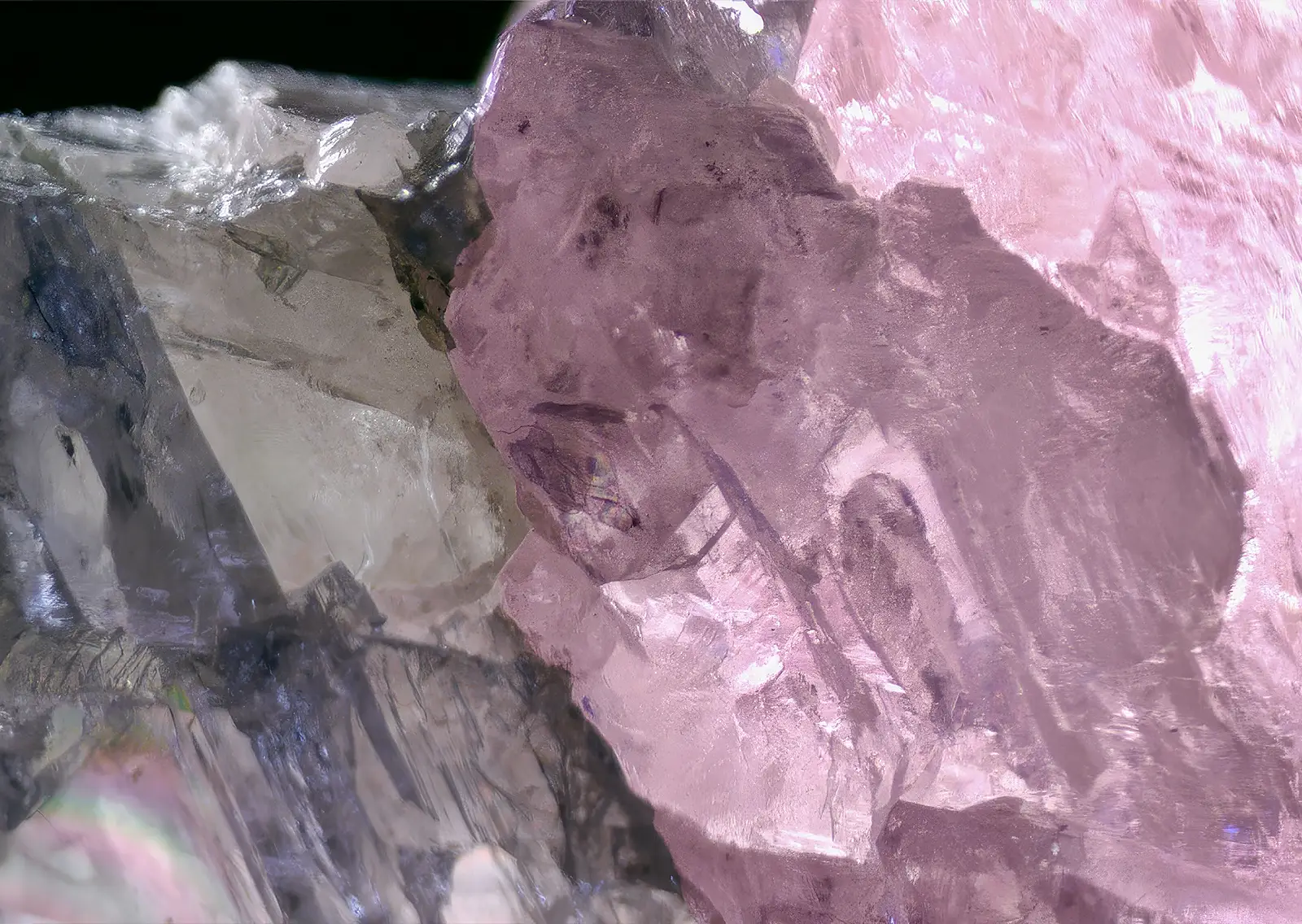 37.41 ct GIA pink diamond under magnification. A Rare Pink&Colorless Diamond from the Karowe Mine: Can You Believe This Miracle? News
