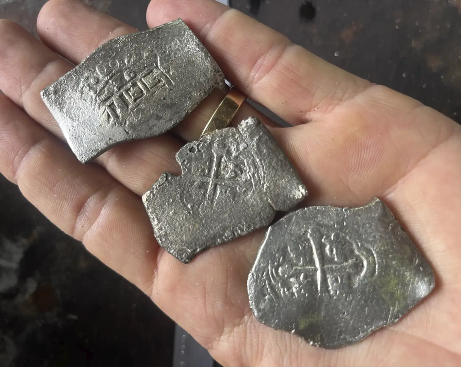 Divers Find a Thousand Precious Coins Near the Coast of Florida. News | Olertis Three ancient silver coins found by divers in Florida, USA, are lying on a palm. Divers Find a Thousand Precious Coins Near the Coast of Florida. News