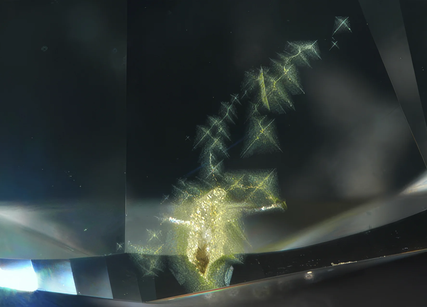 Seen through the pavilion, this 2.50 ct diamond displayed starburst-like cloud patches near the girdle, each containing a cross-shaped group of more intensely colored particles. A view from a different angle. Natural Diamond Color Explained Through Rare Color Zoning Patterns. News.